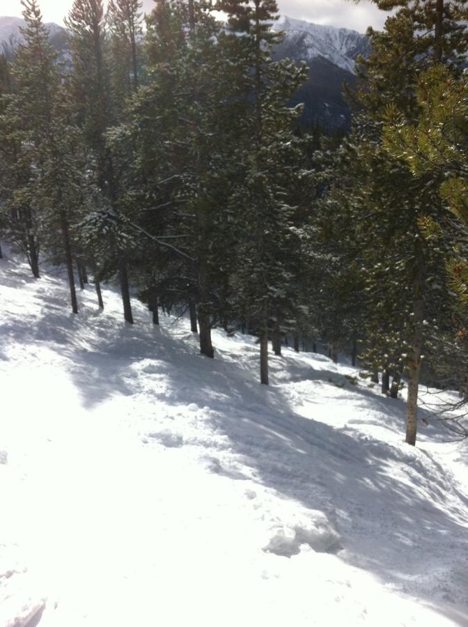 Taynton Lodge At Panorama Mountain Village Resort Exterior photo